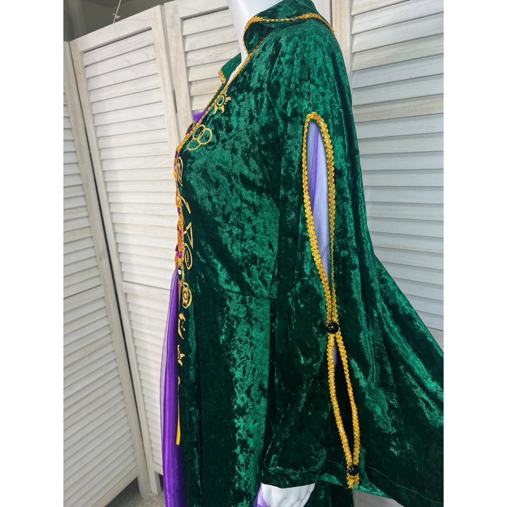 Hocus Pocus Winifred Sanderson Halloween Cosplay Velvet Medieval Gown Medium - Picture 15 of 16